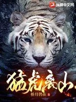 《猛虎离山》小说封面