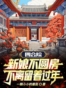 《四合院新娘不圆房不离留着过年?》小说封面