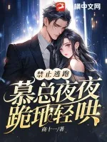 《禁止逃跑，慕总夜夜跪地轻哄》小说封面