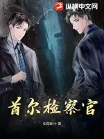 《首尔检察官》小说封面