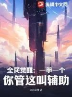 《全民觉醒：一拳一个，你管这叫辅助？》小说封面