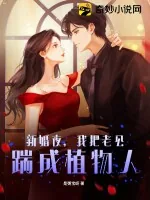 《新婚夜，我把老公踹成植物人》小说封面