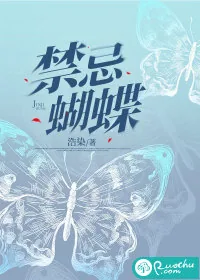 《禁忌蝴蝶》小说封面