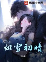 《如雪初晴》小说封面