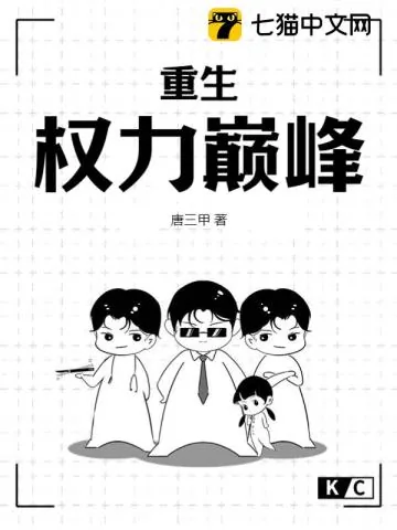 《重生：权力巅峰》小说封面