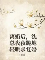 《离婚后,沈总夜夜跪地轻哄求复婚》小说封面