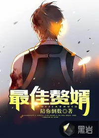 《最佳女婿》小说封面