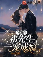 《闪婚后祁先生一宠成瘾》小说封面