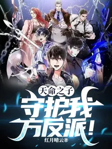 《天命之子：守护我方反派！》小说封面