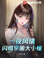 《一夜风情：闪婚京圈大小姐》小说封面