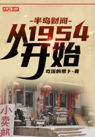 《半岛财阀：从1954开始》小说封面