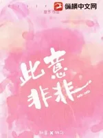《此意非非》小说封面
