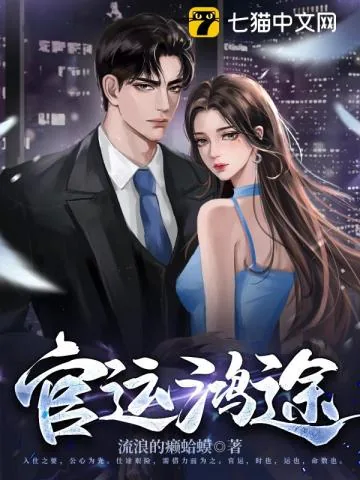 《官运鸿途》小说封面