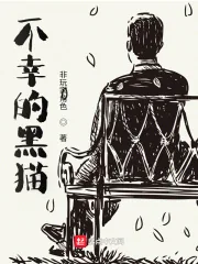 《不幸的黑猫》小说封面