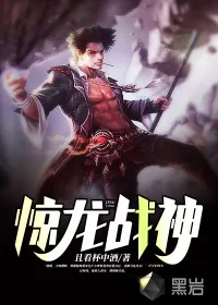 《惊龙战神》小说封面