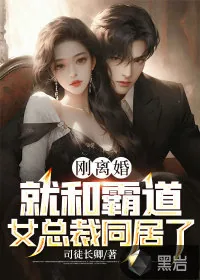 《刚离婚，就和霸道女总裁同居了》小说封面