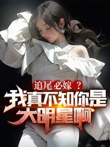 《追尾必嫁？我真不知你是大明星啊》小说封面