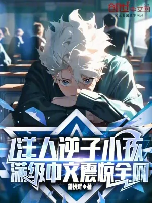 《洋人逆子小孩，满级中文震惊全网》小说封面