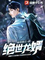 《绝世龙婿》小说封面