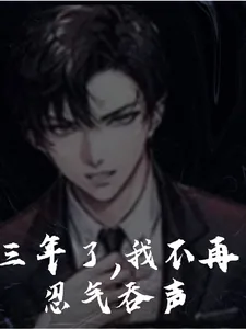 《三年了，我不再忍气吞声》小说封面