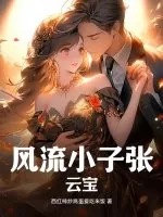 《风流小子张云宝》小说封面