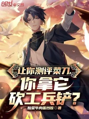 《让你测评菜刀，你拿它砍工兵铲？》小说封面