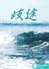 《歧途》小说封面