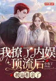 《我撩了内娱顶流后，被逼相亲了》小说封面