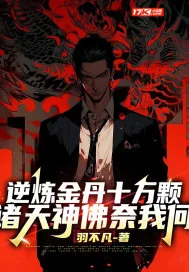 《逆炼金丹十万颗，诸天神佛奈我何》小说封面