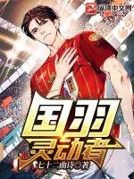 《国羽:灵动者》小说封面