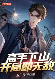 《高手下山,开局即无敌》小说封面