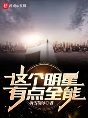 《这个明星有点全能》小说封面
