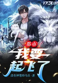 《都市我要起飞了》小说封面