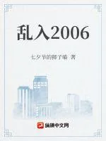 《乱入2006》小说封面