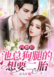 《闪婚后，池总狗腿的想要二胎》小说封面