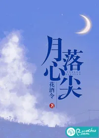 《月落心尖》小说封面