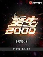 《重生2000》小说封面