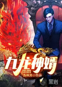 《九龙神婿》小说封面