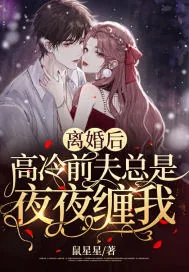 《离婚后，高冷前夫总是夜夜缠我》小说封面