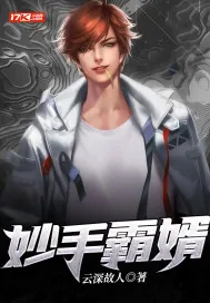 《妙手霸婿》小说封面