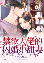 《禁欲大佬的闪婚小甜妻》小说封面