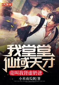 《我堂堂仙域天才,竟叫我肾虚奶爸》小说封面