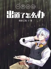《一不小心出道了怎么办》小说封面