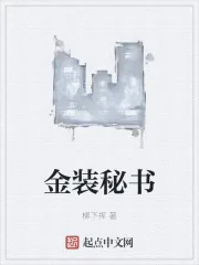 《金装秘书》小说封面