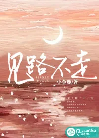 《见路不走》小说封面