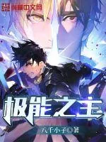 《极能之主》小说封面