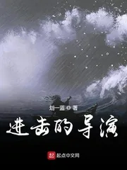 《进击的导演》小说封面