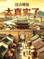 《这古城也太真实了》小说封面