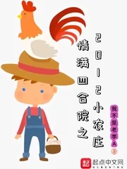 《情满四合院之2012小农庄》小说封面