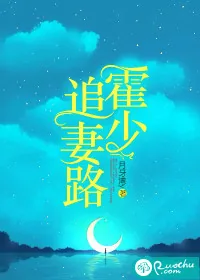 《霍少追妻路》小说封面
